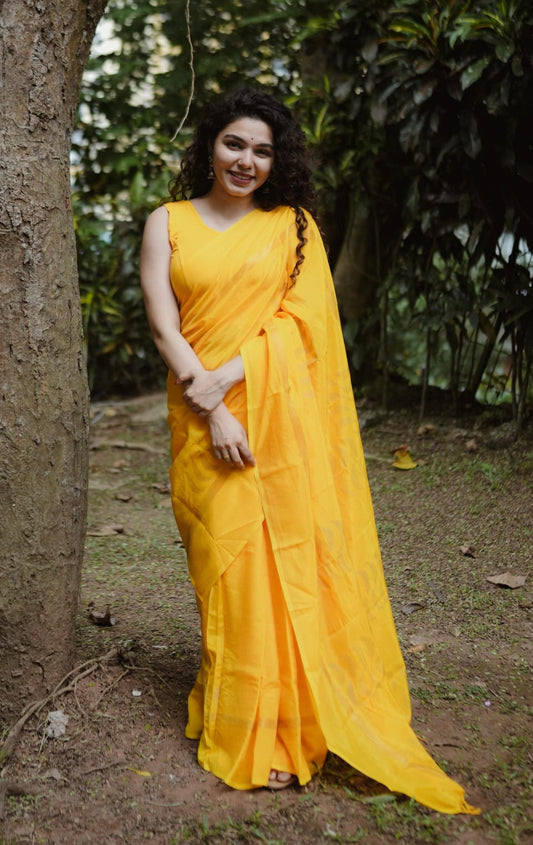 Handloom Silk SareeRS. 870/- (70% Off on MRP Rs.2900-)( DS-219)