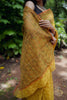 Designer Organza Saree (OS 01)