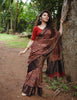 Banarasi Linen Saree (01 LS)