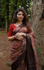 Banarasi Linen Saree (01 LS)