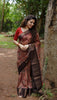 Banarasi Linen Saree (01 LS)