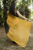 ORGANZA SAREE -(SG70)