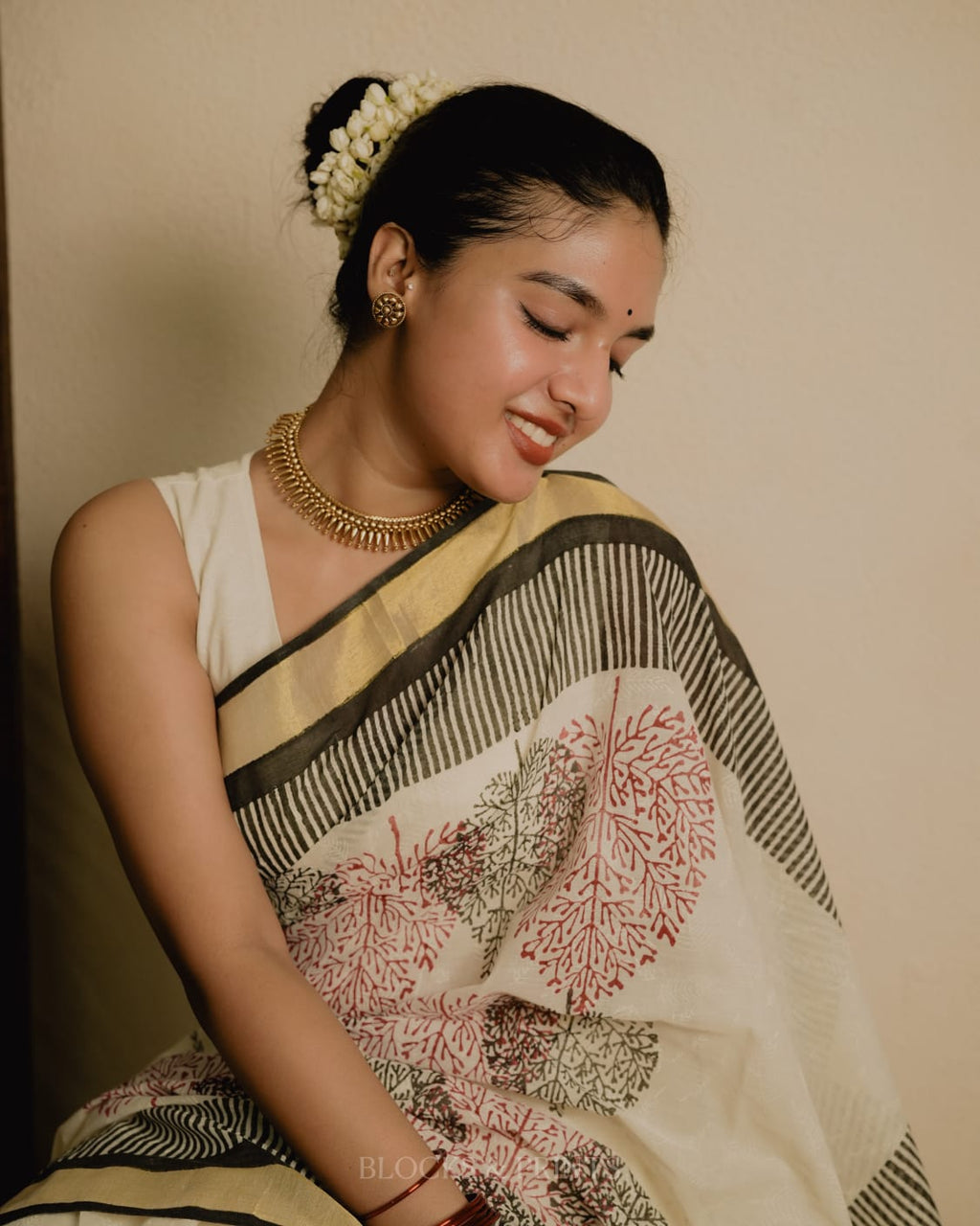 Kerala Saree (MS 19)