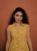 Designer Kurthi (Code - 1858 BK)