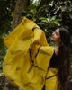 Handloom Silk Saree(02 SS)