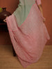 Organza Saree (OS 03)