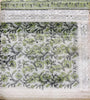 SALWAR SET (SW15)