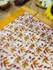 KERALA SAREE -(KR36)