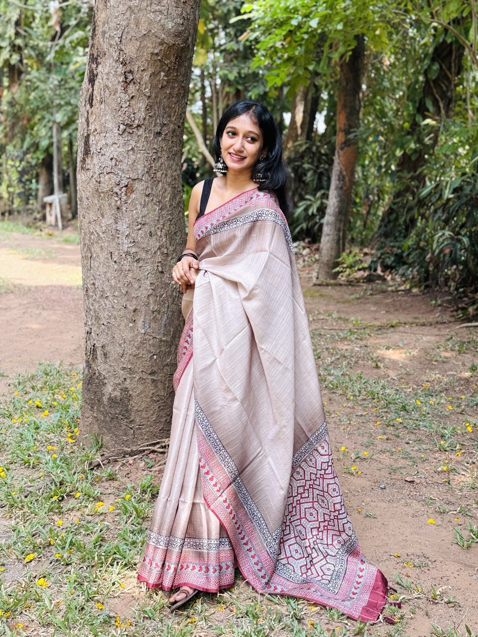 CHANDERI SILK SAREE -(WS77)