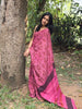 COTTON SAREE -(WS131)