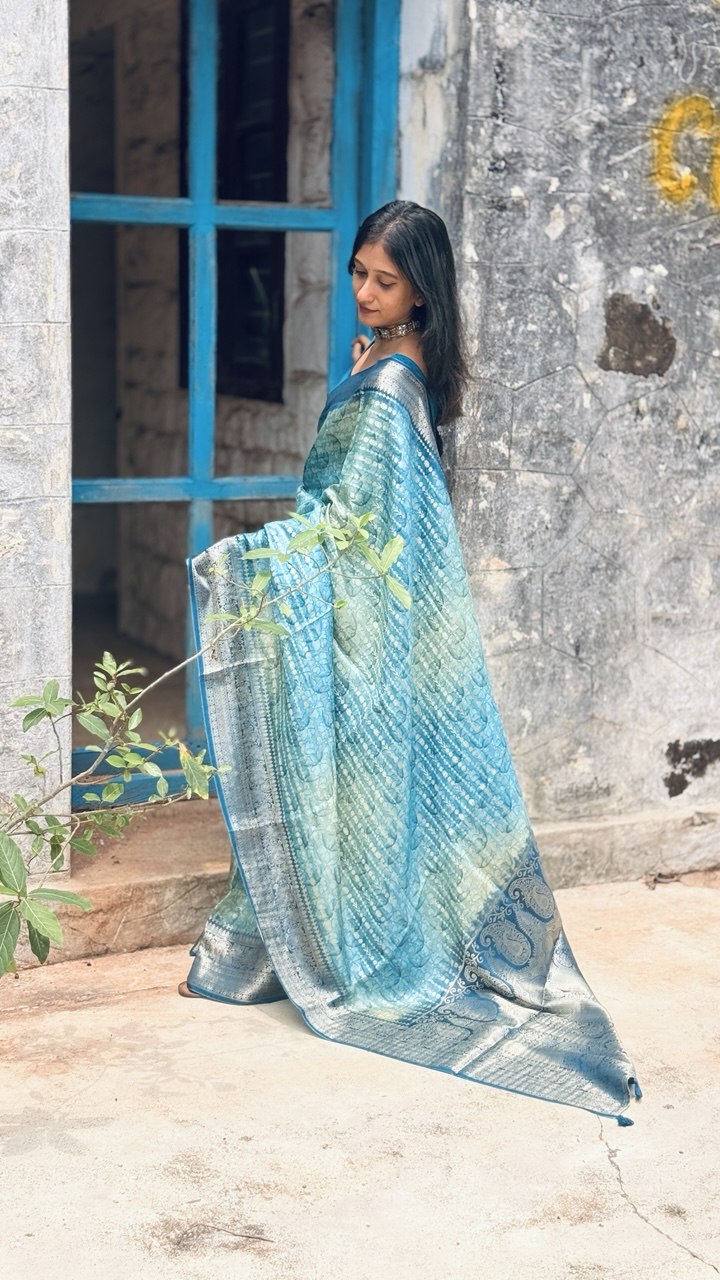 BANARASI SILK SAREE -(WS144)