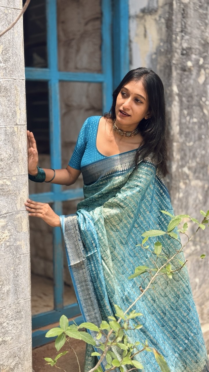 BANARASI SILK SAREE -(WS144)