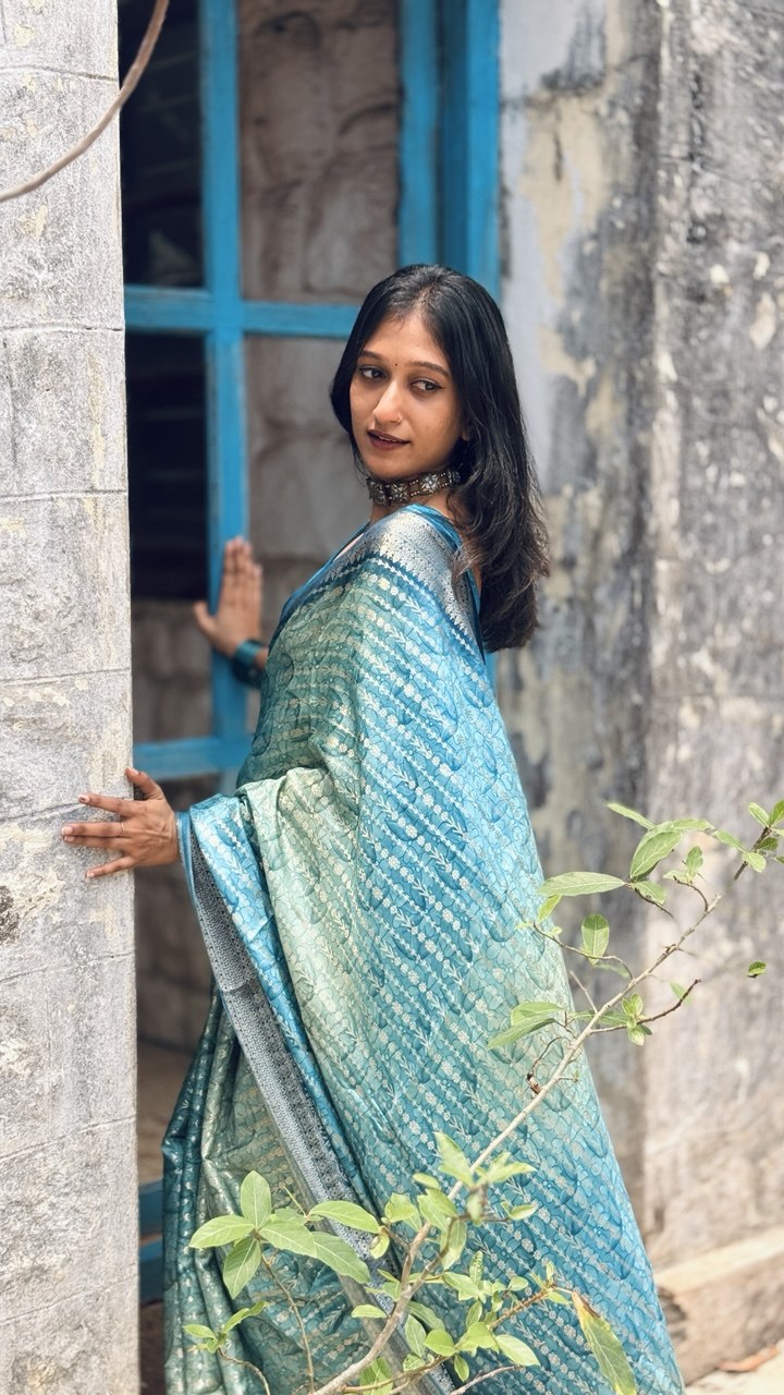 BANARASI SILK SAREE -(WS144)