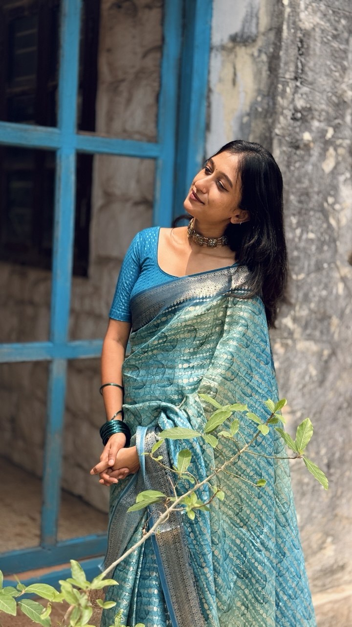BANARASI SILK SAREE -(WS144)