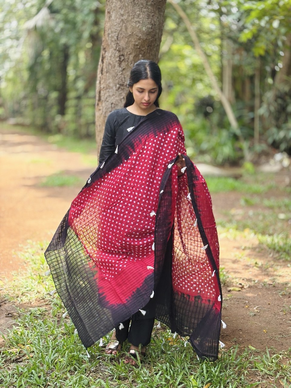 DUPATTA-(WS157)