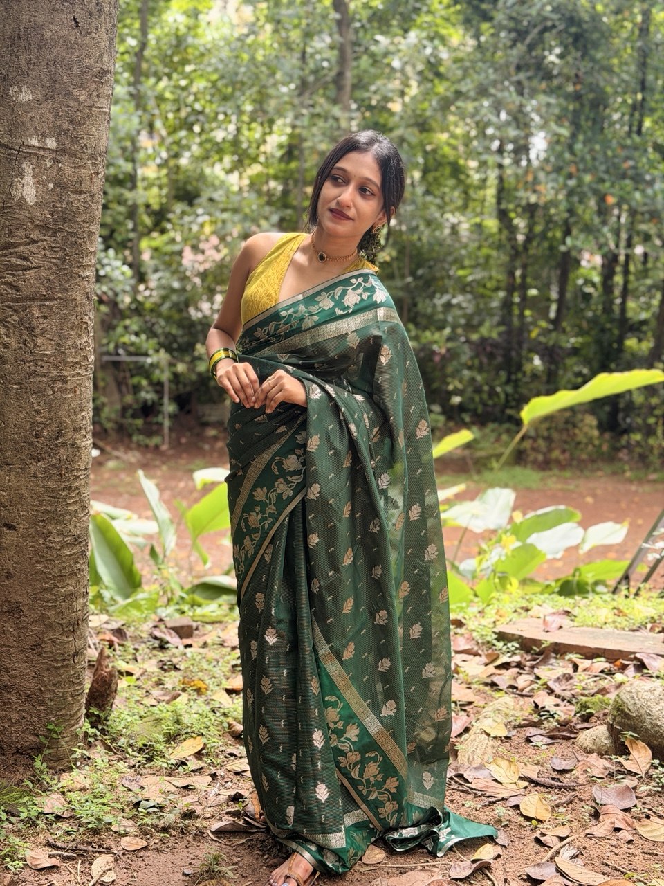BANARASI SILK SAREE -(WS176)