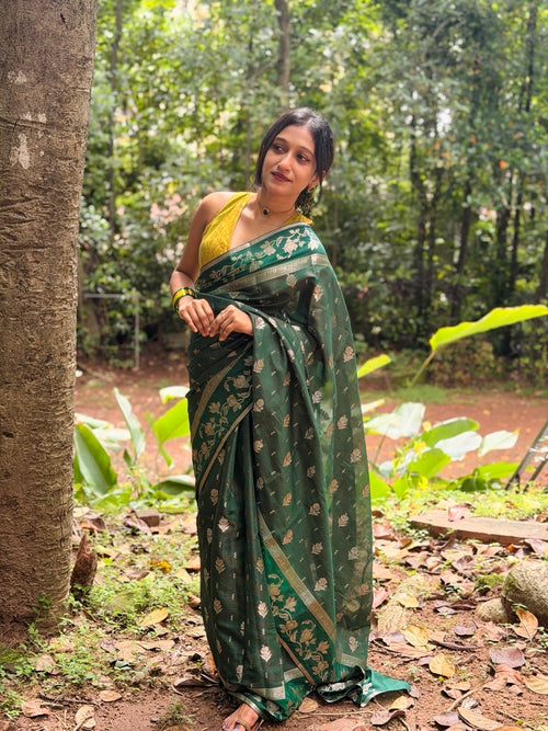 BANARASI SILK SAREE -(WS176)