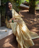Tissue silk saree ( S01)
