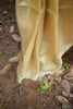 Tissue silk saree ( S01)