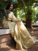Tissue silk saree ( S01)
